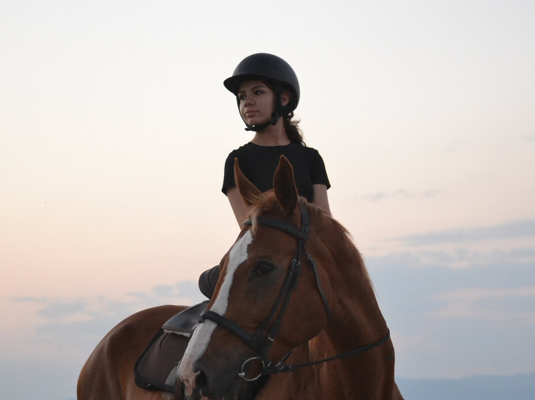 Horse-Ranch Manippos Halkidiki-Kassandra必去景点