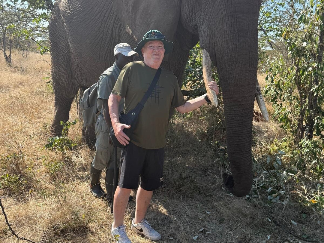 Wild Horizons Elephant Sanctuary-维多利亚瀑布必去景点