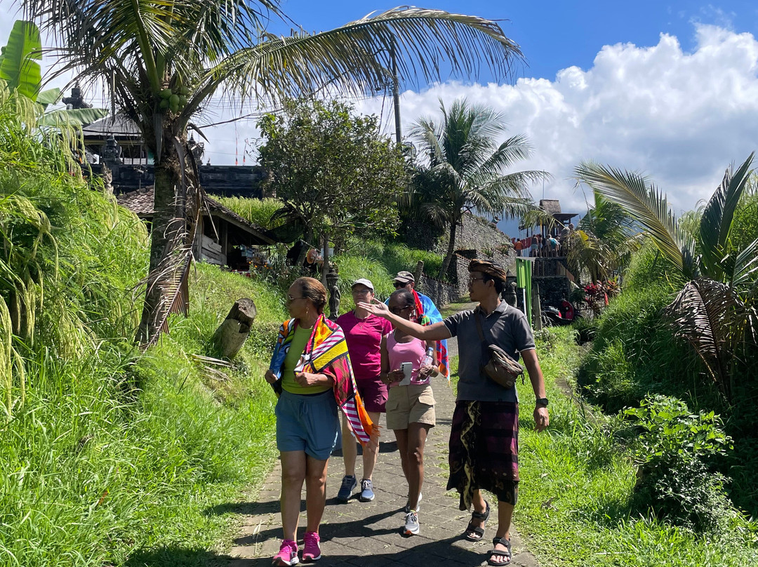 Bali Chauffeur - Day Tours-沙努尔必去景点
