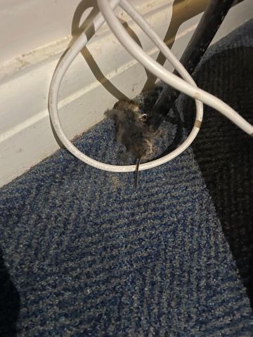 Travelodge Derby Chaddesden-客卧