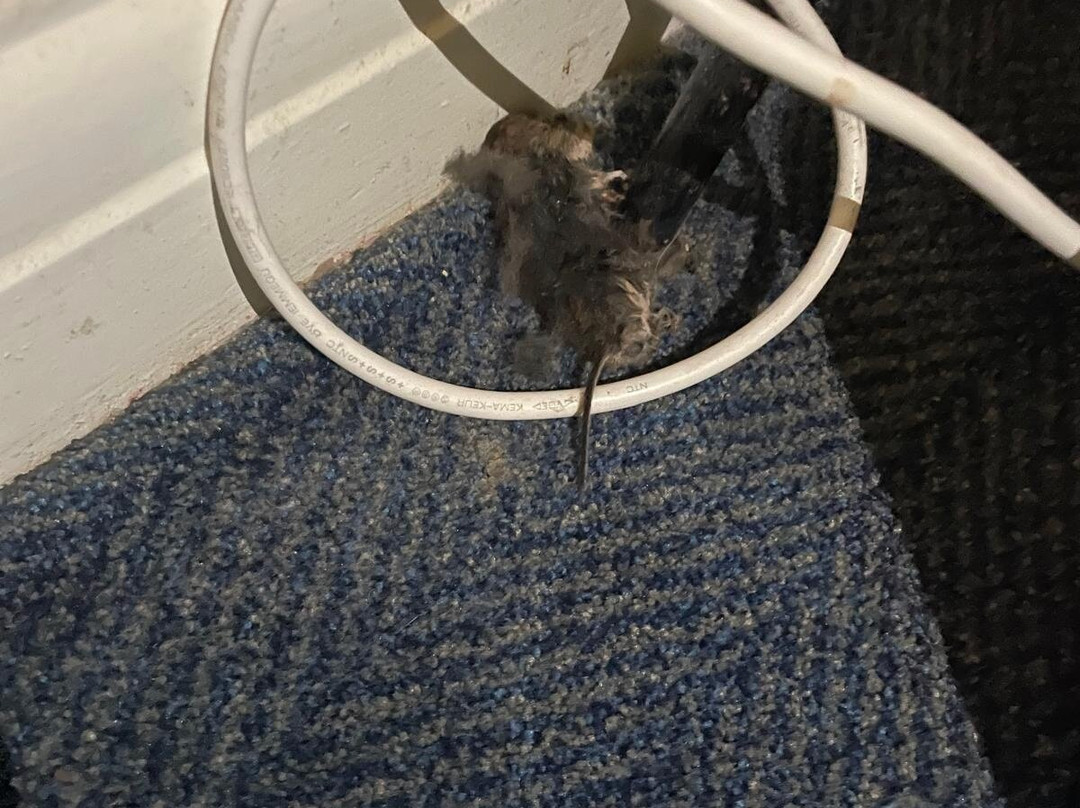 Travelodge Derby Chaddesden主图