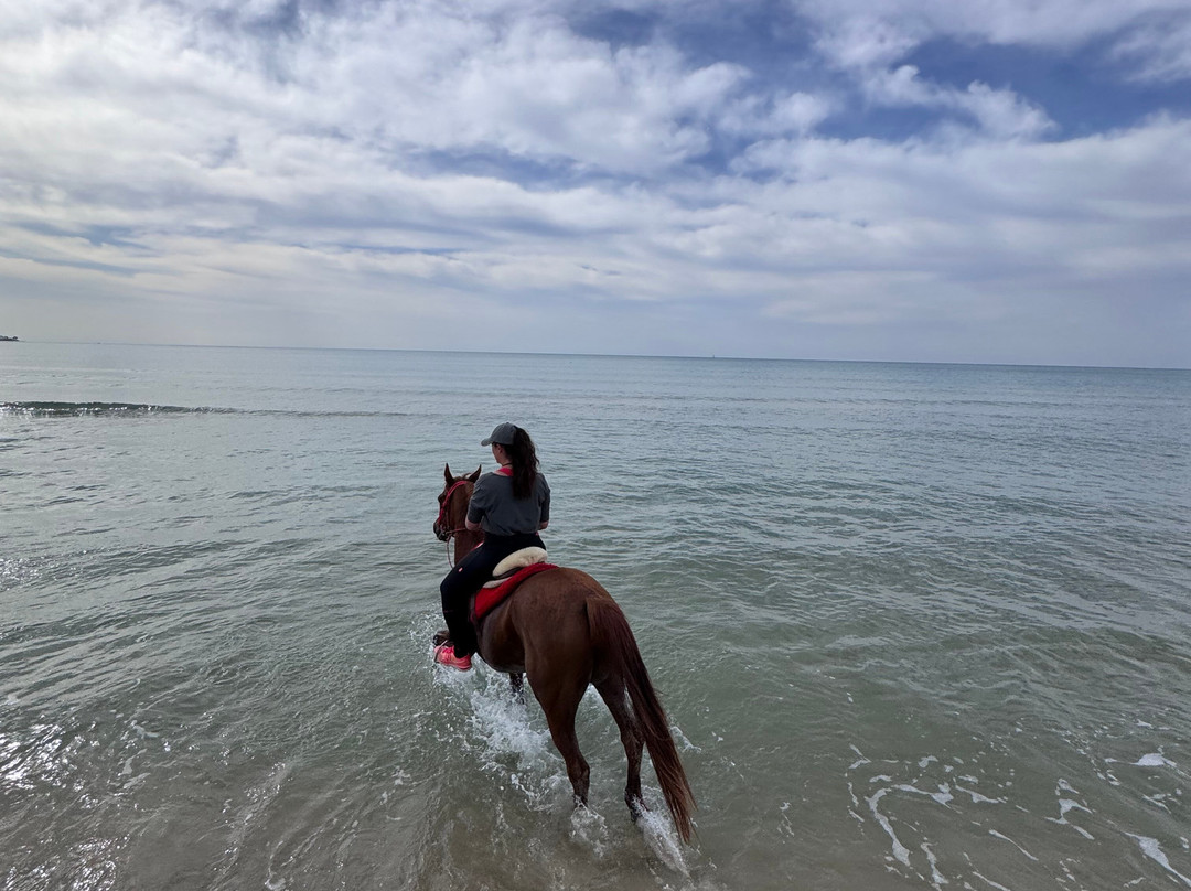 Club Equus Hammamet-哈玛麦德必去景点