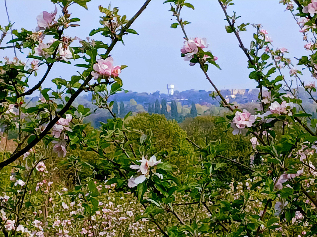 Canterbury Cathedral Panoramic Viewpoint-坎特伯雷必去景点