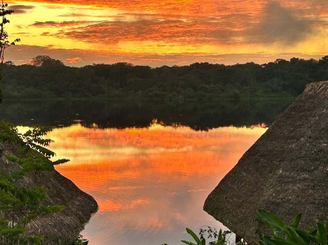 Napo Wildlife Center Ecolodge主图
