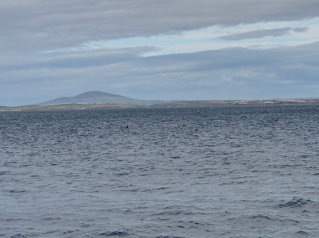 Donegal Sea Adventure-Burtonport必去景点