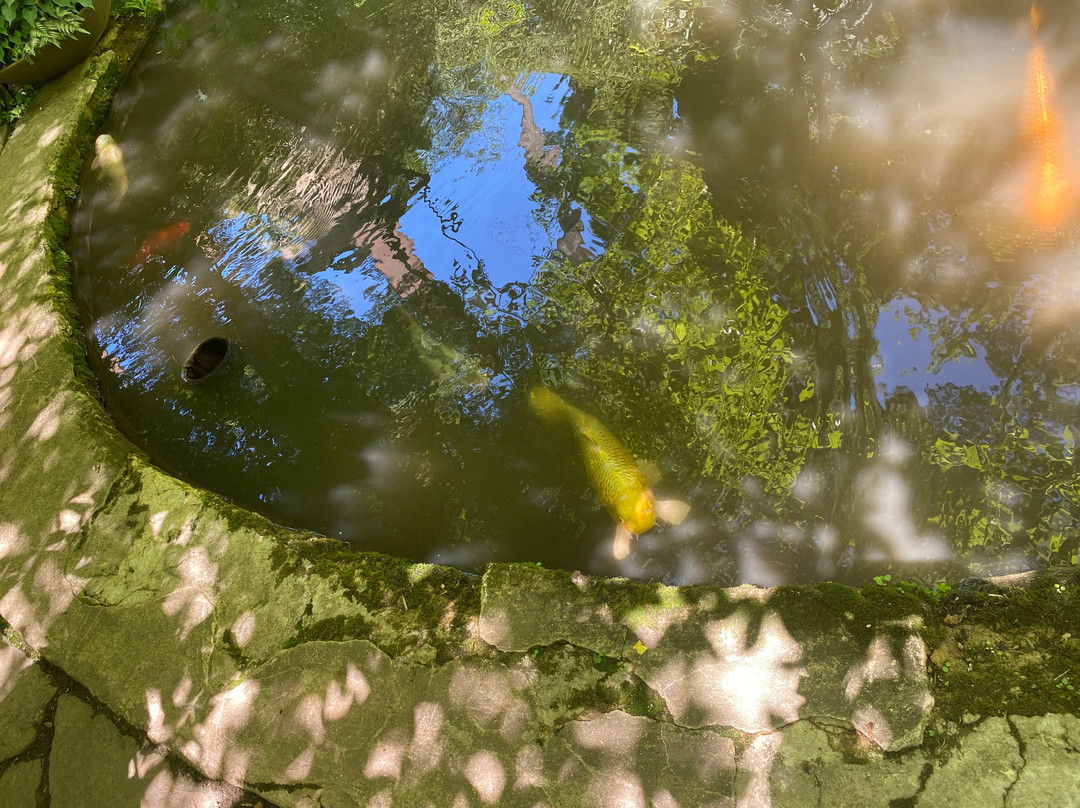 Winterthur Museum, Garden & Library-Winterthur必去景点