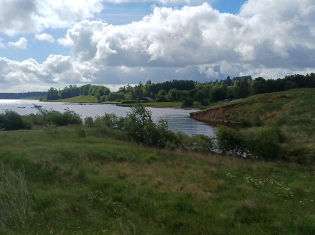 Kielder Forest-Kielder必去景点