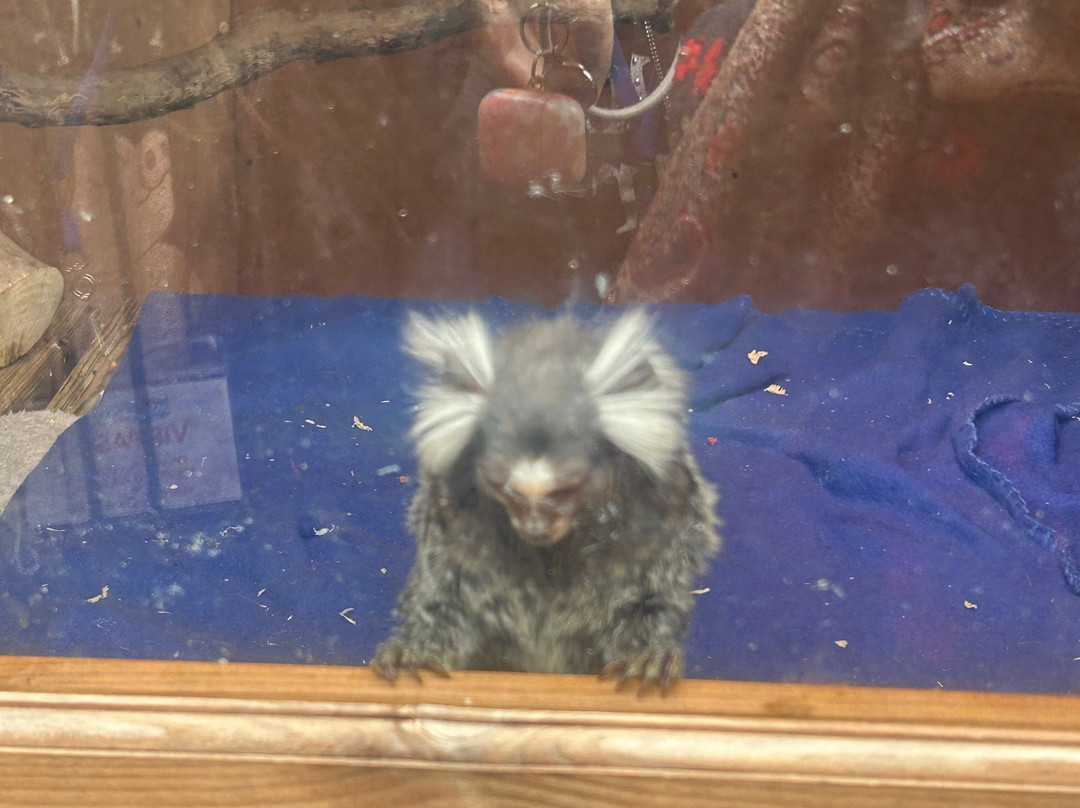 Hopefield Animal Sanctuary & Visitor Centre-布伦特伍德必去景点