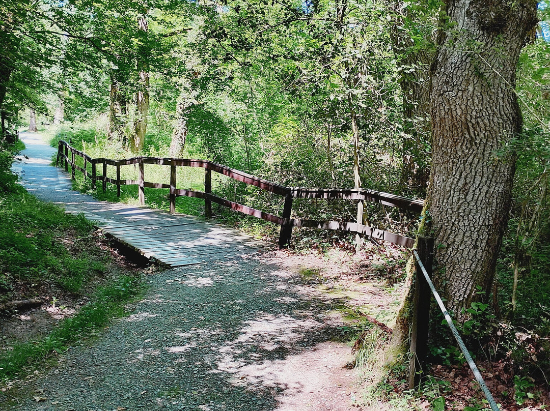 Bosque de Orgi-Lizaso必去景点