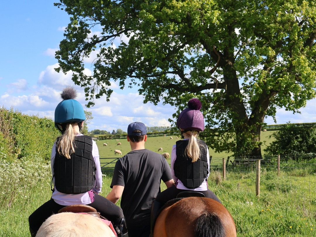 Noakes Farm Riding Centre-Bromyard必去景点