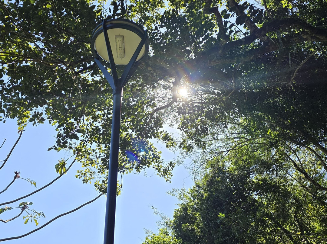 Parque Arthur Thomas-Londrina必去景点