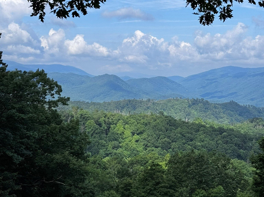 Roaring Fork Motor Nature Trail-大雾山国家公园必去景点