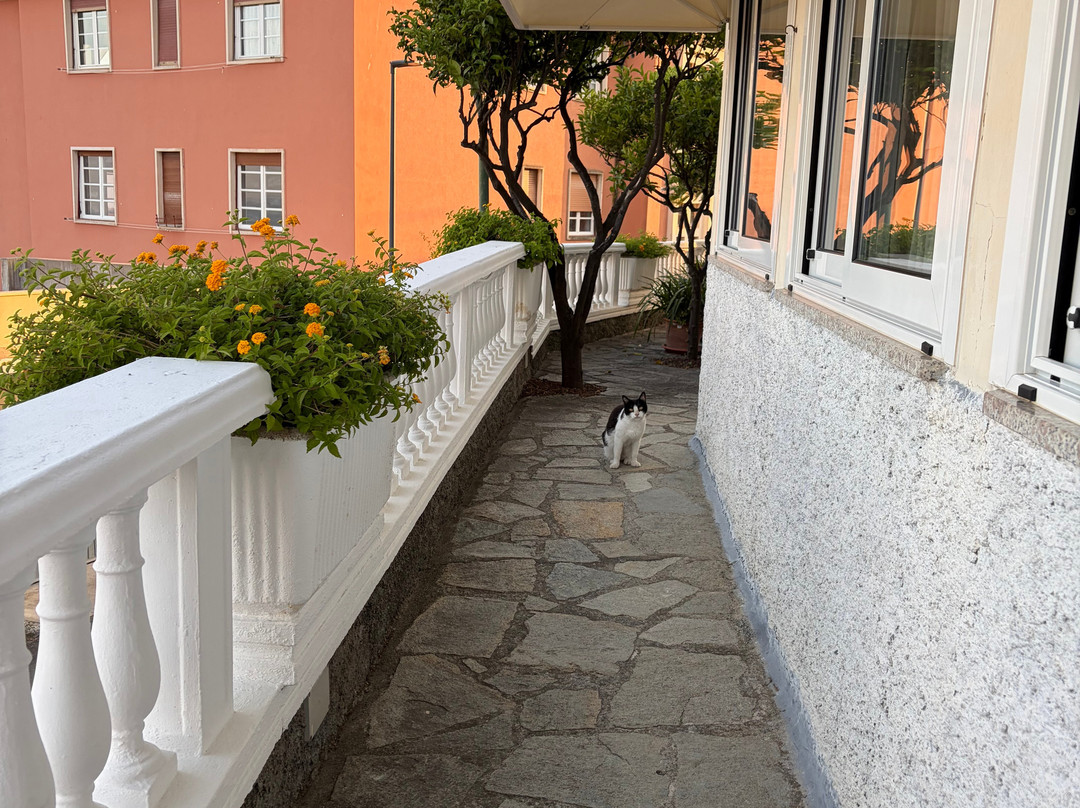 Hotel Villa Centa主图