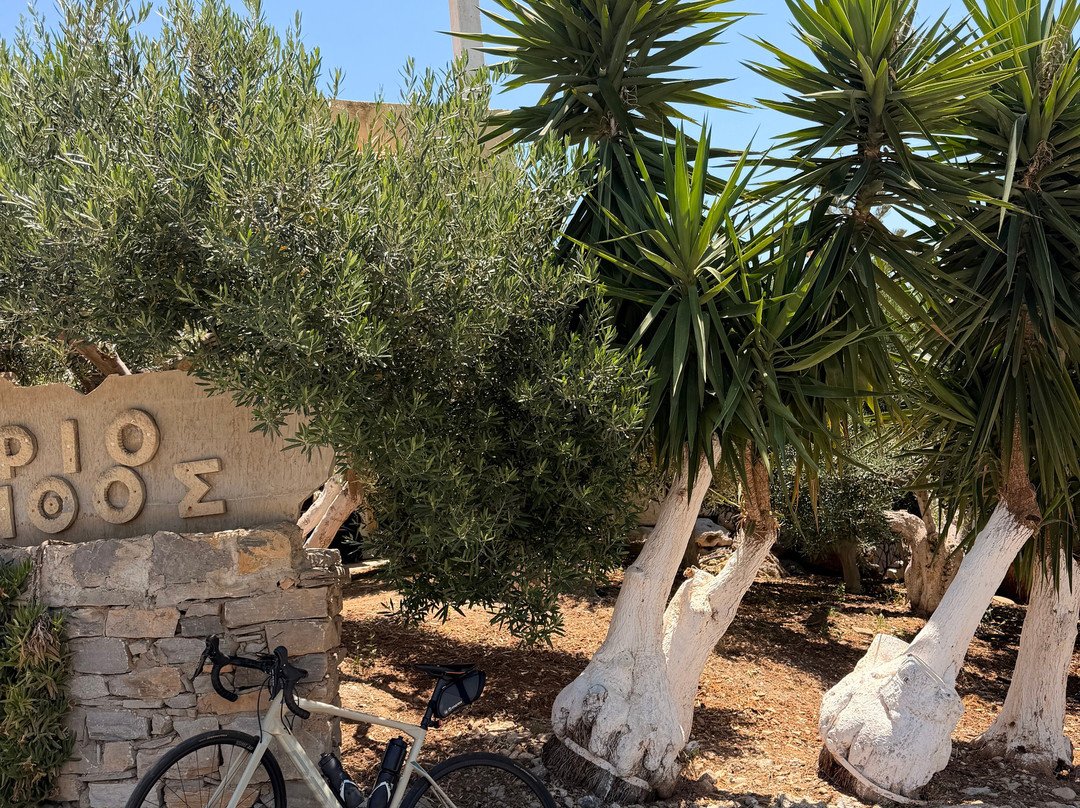 Cycling Creta-赫索尼索斯必去景点
