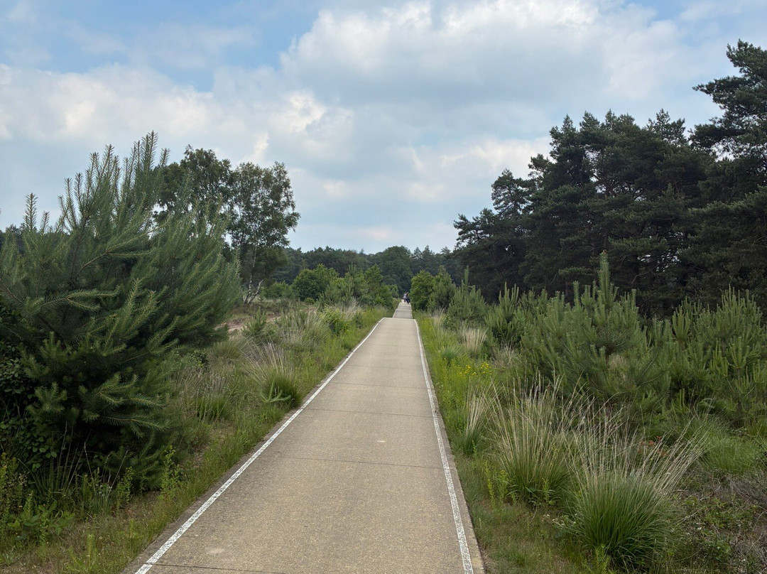 Nationale Park Hoge Veluwe-奥特洛必去景点