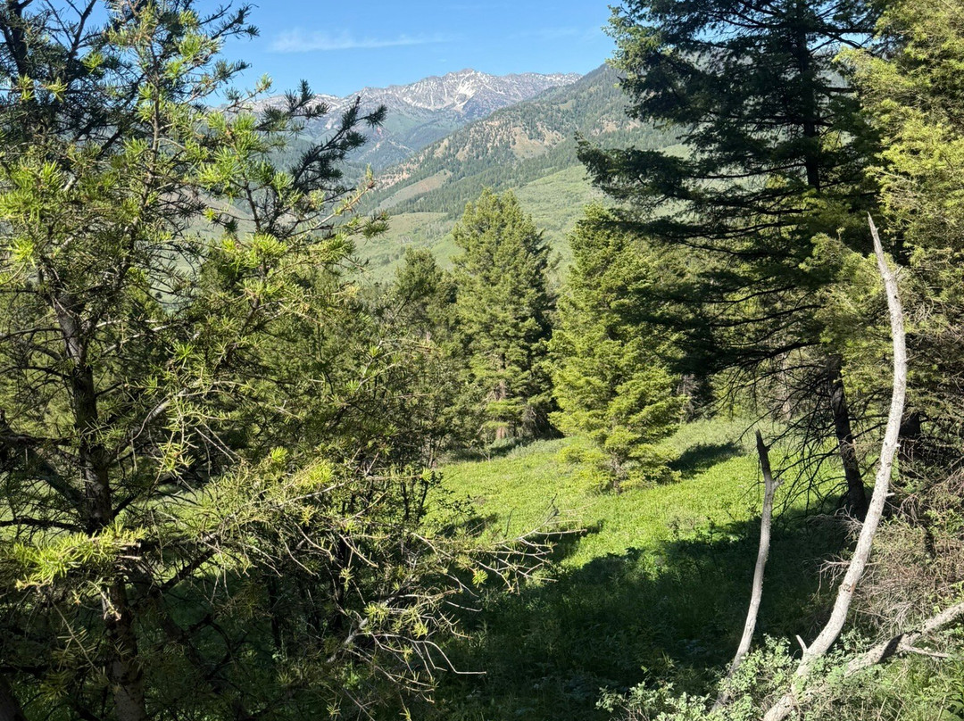 Mill Iron Ranch-杰克逊必去景点