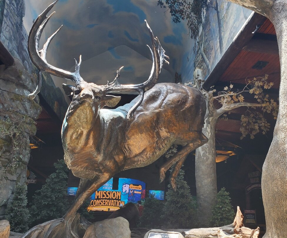 Johnny Morris' Wonders of Wildlife National Museum and Aquarium-斯普林菲尔德必去景点