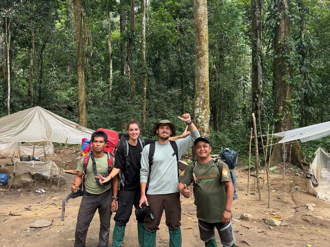 Rudy Ketambe Sumatra Jungle Trekking-Ketambe必去景点