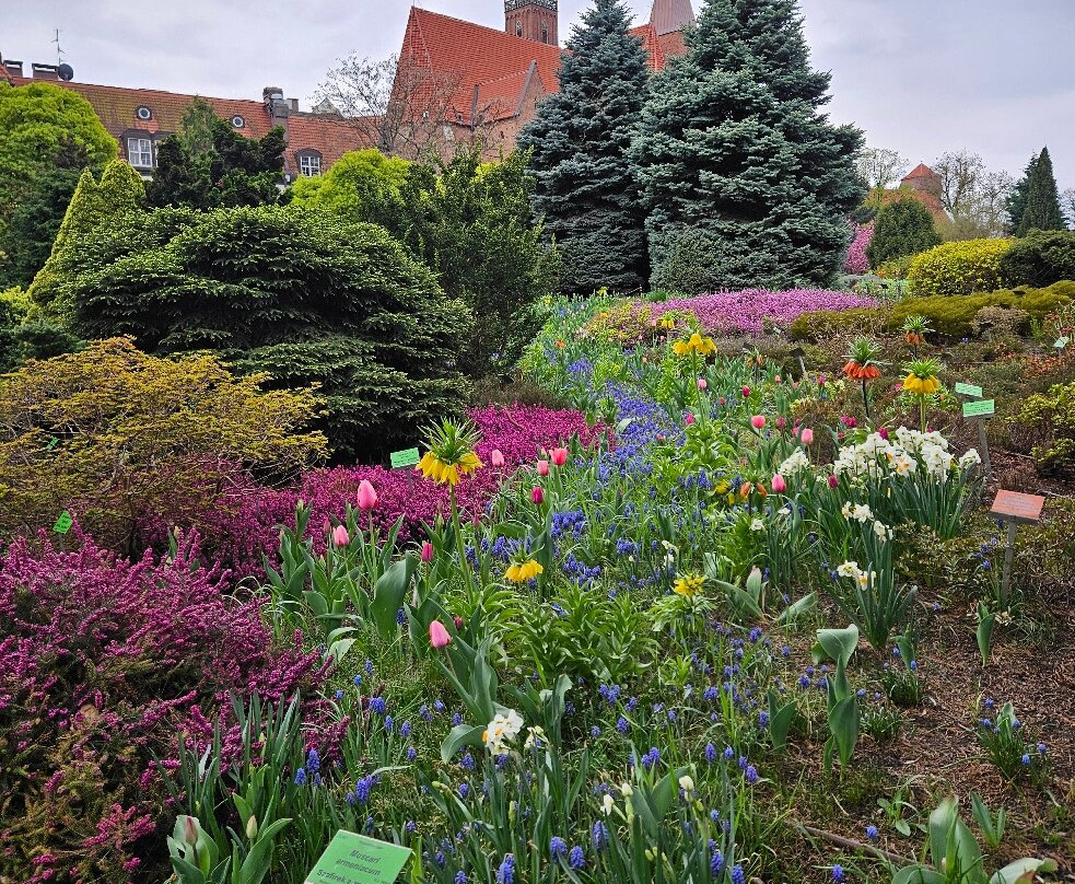 Botanical Garden of the University of Wrocław-弗罗茨瓦夫必去景点