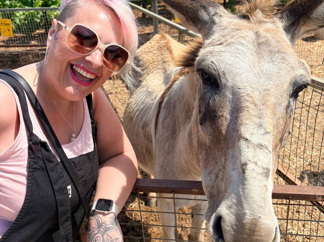 Trakkos Donkey Farm-卡西卡斯必去景点