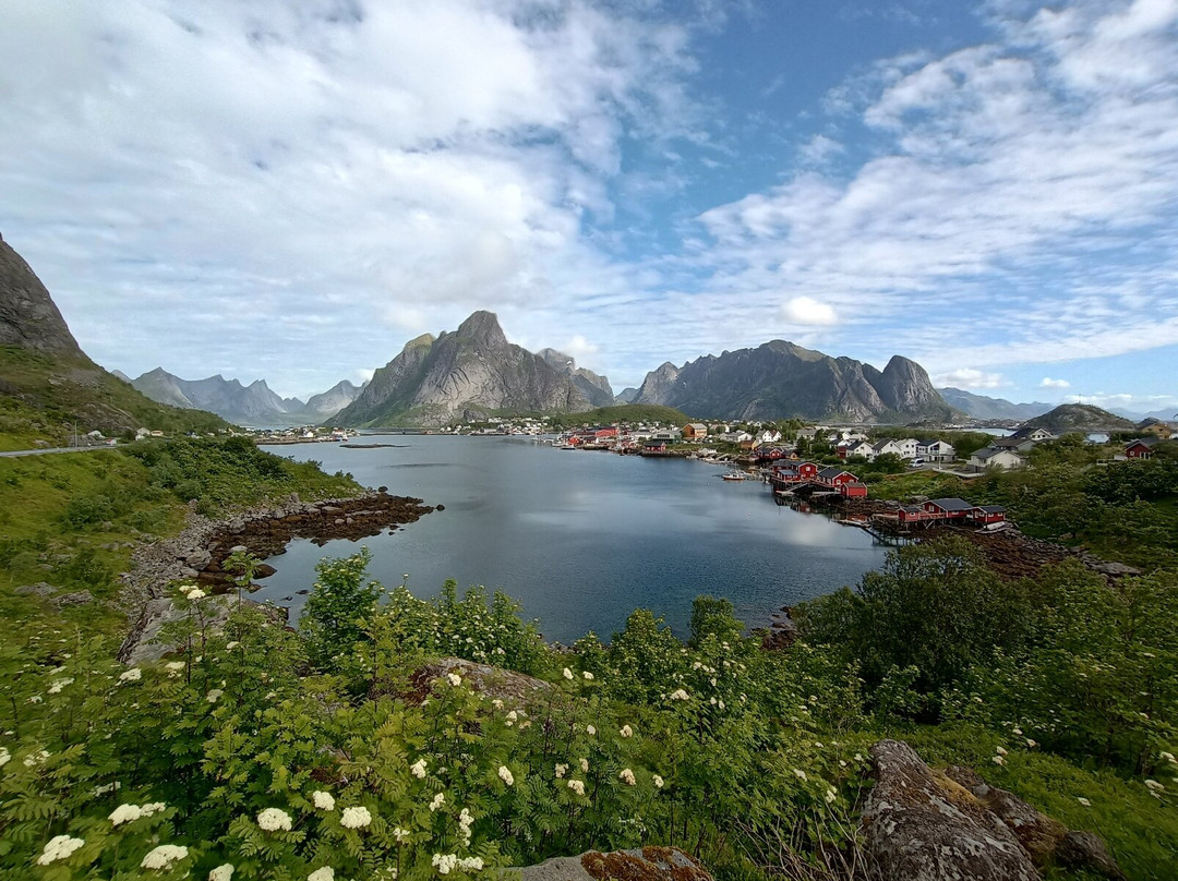 Reinehalsen