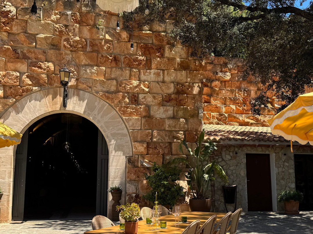 Bodega Terra Ión-Andratx必去景点