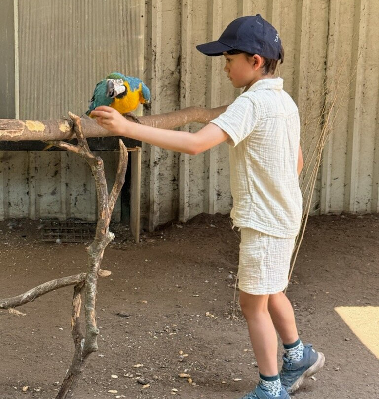 Dyrenes Verden Filskov Mini Zoo i Billund-格林斯泰兹必去景点