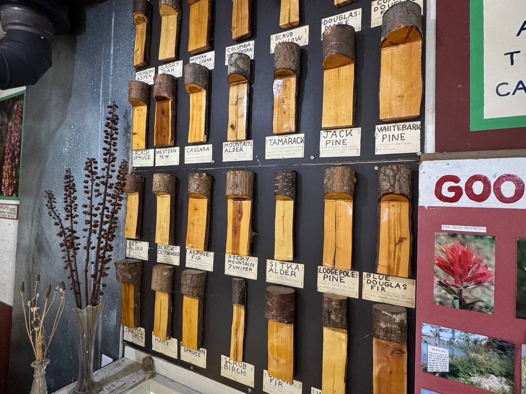 Goodsir Nature Park-乔治王子城必去景点