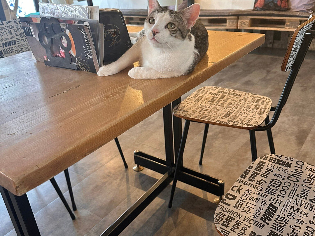 Di cane in gatto-Martignacco必去景点