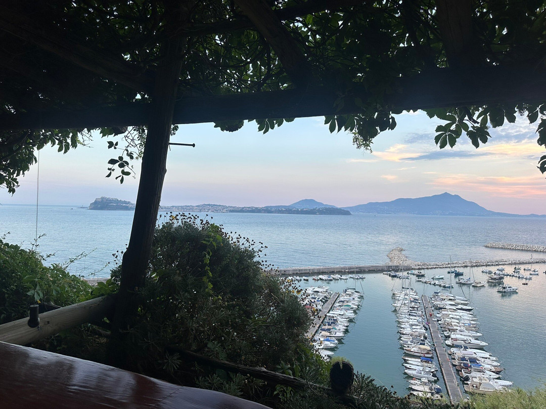 Baya Restaurant