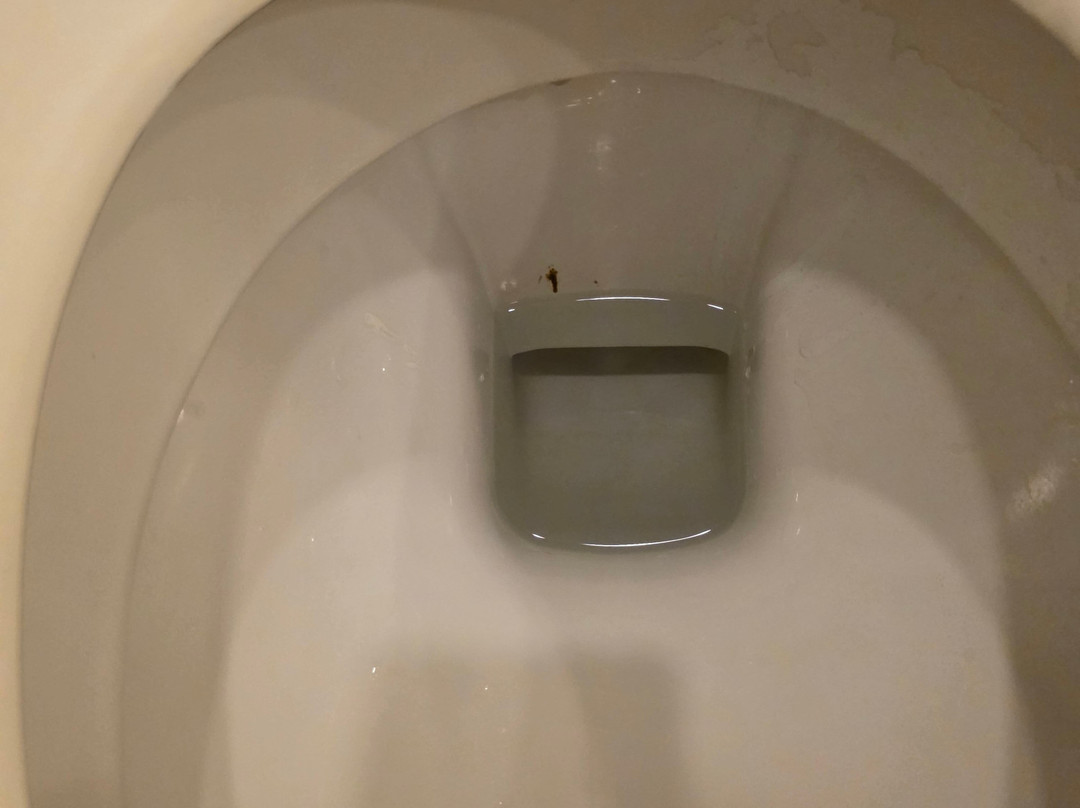 绿洲水疗俱乐部死海酒店主图