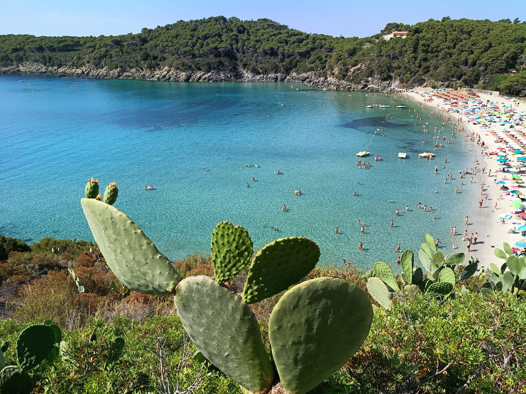 Spiaggia di Fetovaia-Campo nell'Elba必去景点
