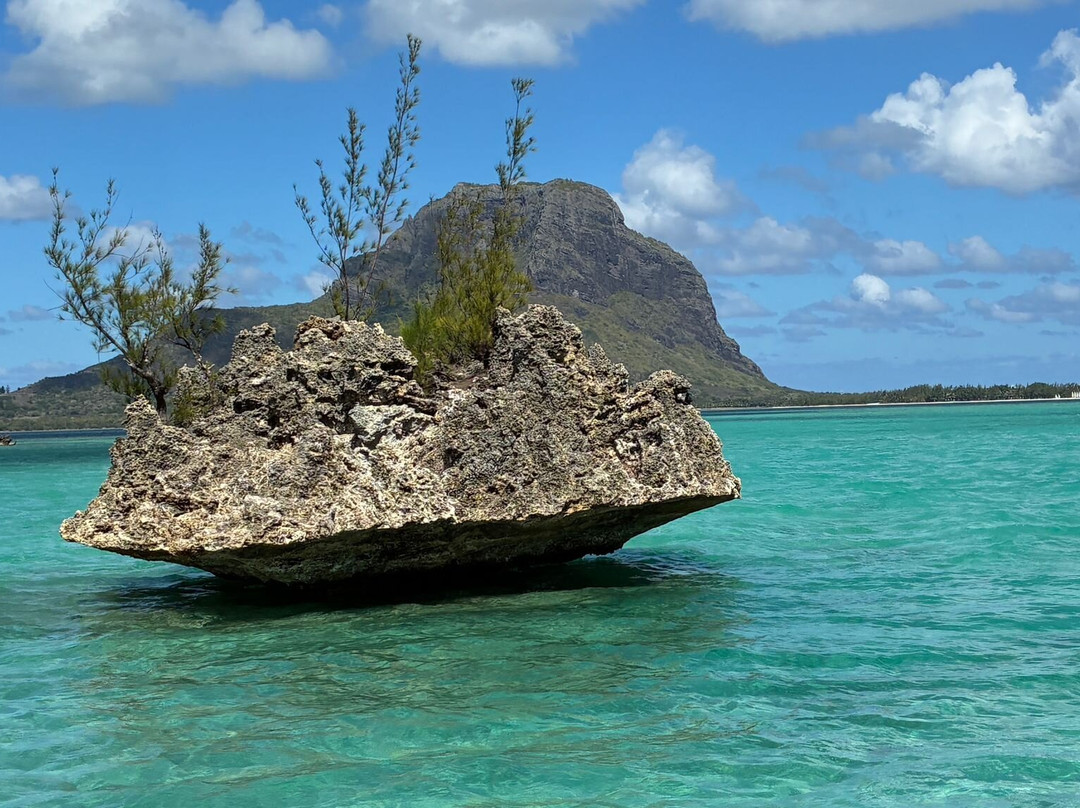 Calypso boat tours Mauritius-蓝湾必去景点