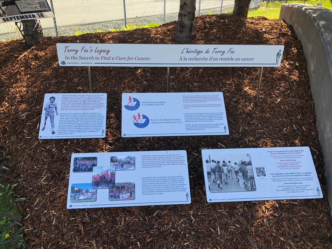 Terry Fox Monument-圣约翰必去景点