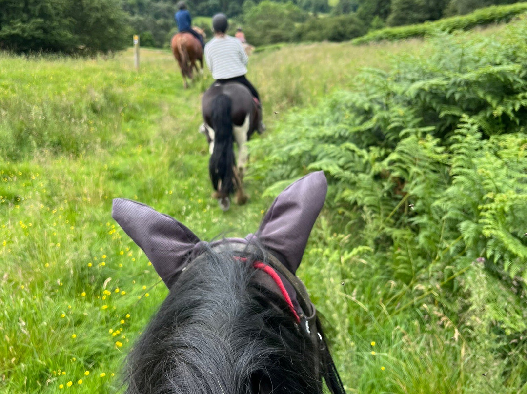 Boltby Pony Trekking-瑟斯克必去景点