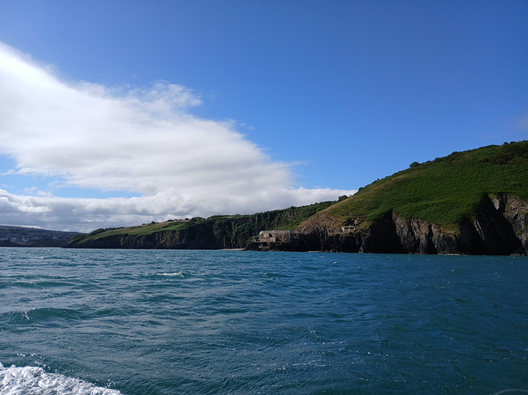 A Bay To Remember Wildlife Boat Trips-St. Dogmaels必去景点