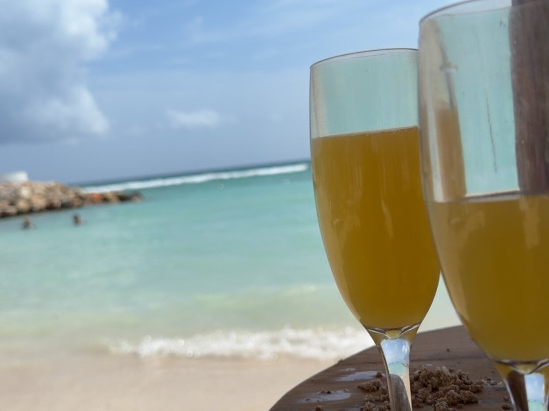 海洋珊瑚泉酒店-全包主图