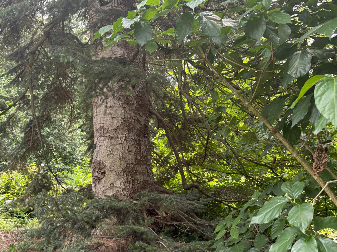 莫里斯植物园-费城必去景点