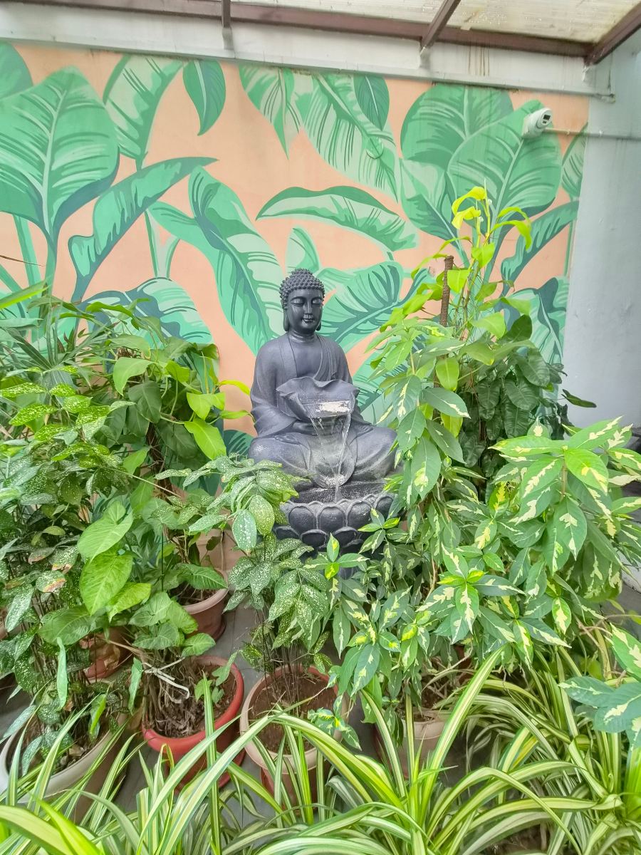 布莱尔港海洋贝壳酒店-旅行者