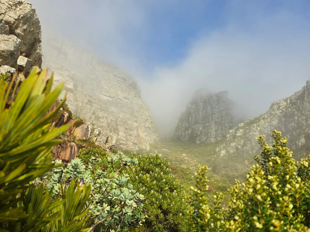 Table Mountain Walks-开普敦中心区必去景点
