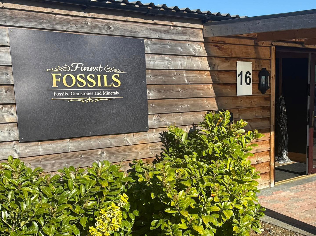 Finest Fossils-Haddenham必去景点