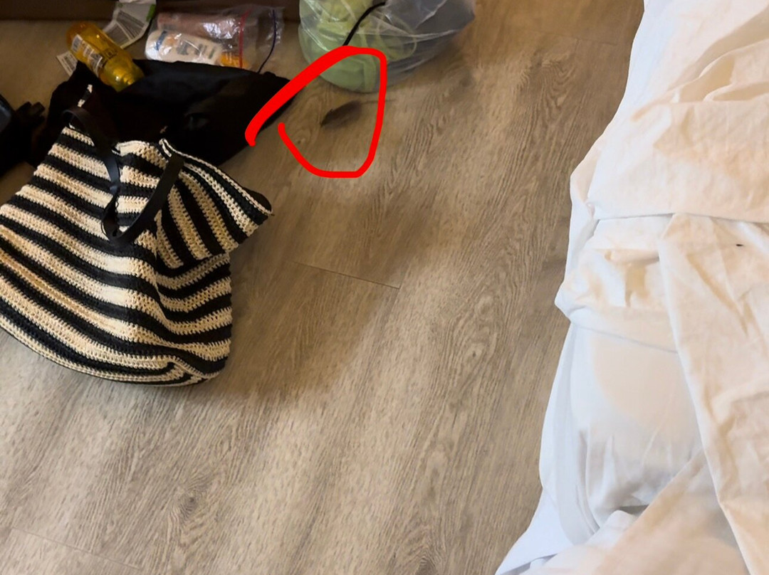 汉迪亚宫酒店主图