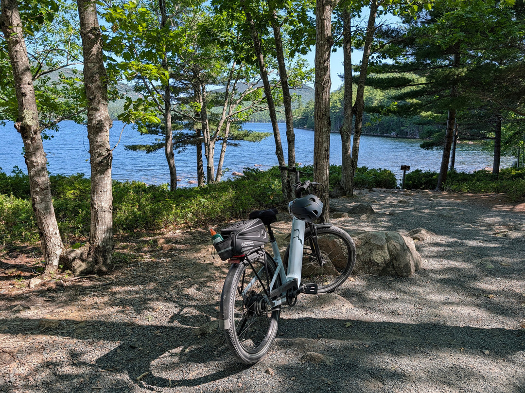 Island Bike Rental-Northeast Harbor必去景点