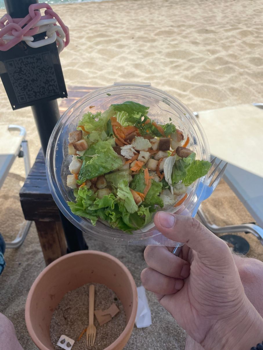Oceanview Beach Hotel-旅行者