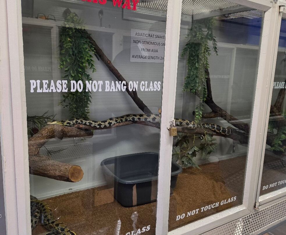 Reptile Garden-开普敦中心区必去景点
