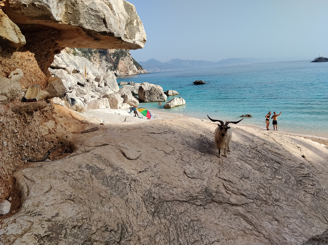 Cala Goloritze-Baunei必去景点