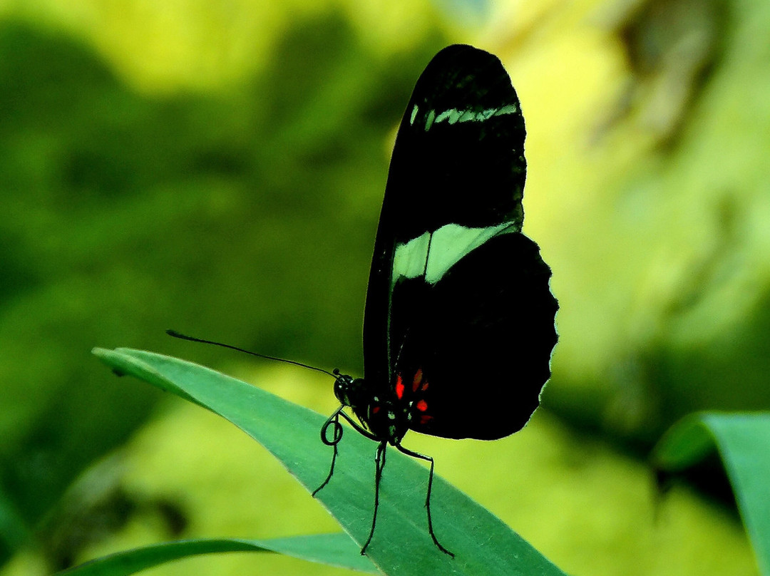 The Bug Parc-Lenwade必去景点