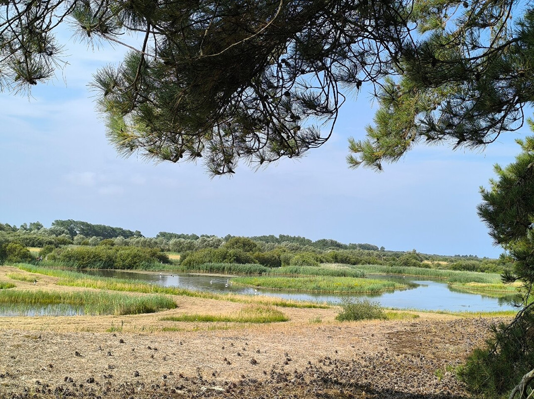 Parc du Marquenterre-Saint-Quentin-en-Tourmont必去景点