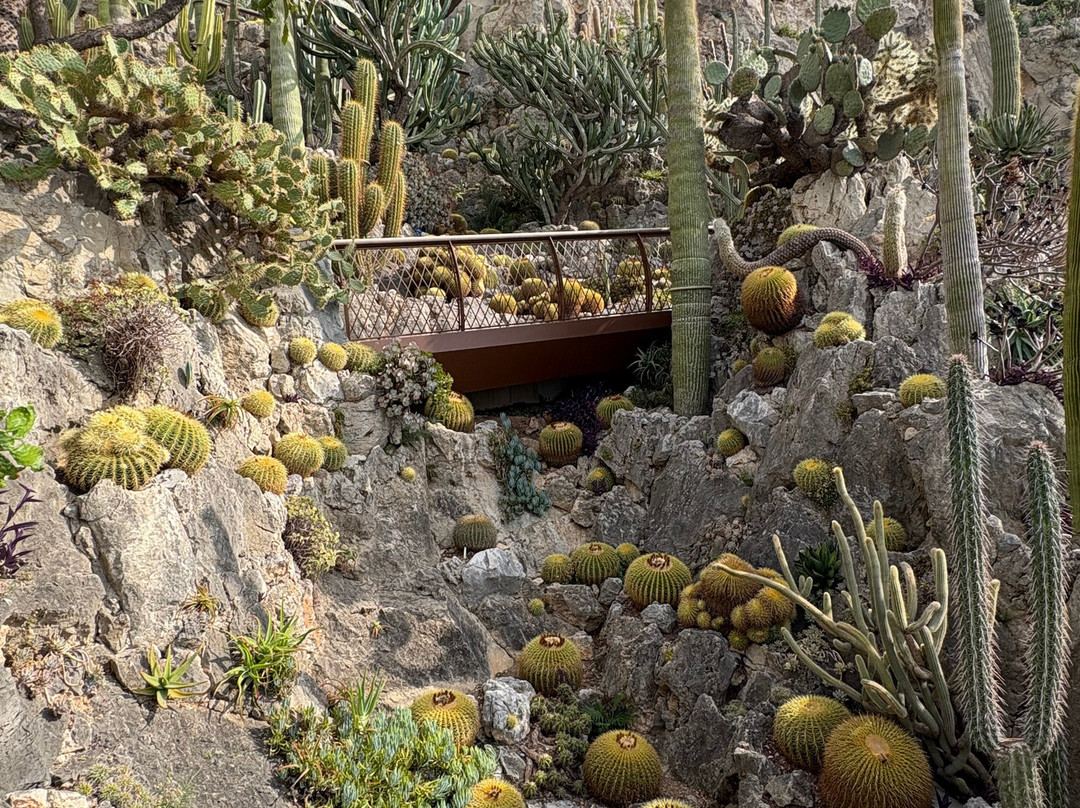 Jardin Exotique de Monaco-摩纳哥城必去景点