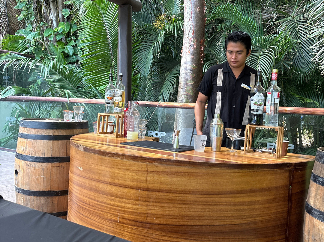 Grand Palladium Vallarta Resort & Spa主图
